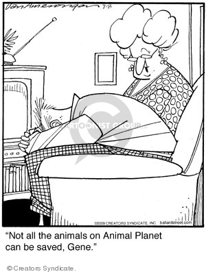 Not all the animals on Animals Planet can be saved, Gene.