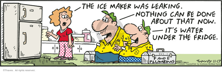 The ice maker is leaking.  Nothing can be done about that now.  Its water under the fridge.  F and E Plumbing.
