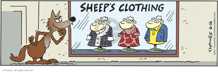 Sheeps Clothing.