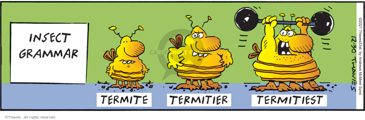 Insect grammar. Termite. Termitier. Termitiest.
