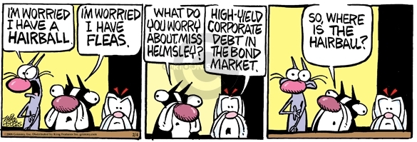 Im worried I have a hairball.  Im worried I have fleas.  What do you worry about, Miss Helmsley?  High-yield corporate debt in the bond market.  So, where is the hairball?