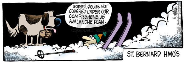 Sorry, youre not covered under our comprehensive avalanche plan.  St. Bernard HMOs.