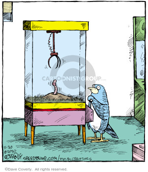 No caption (A bird plays the Claw Game in an attempt to catch a worm).
